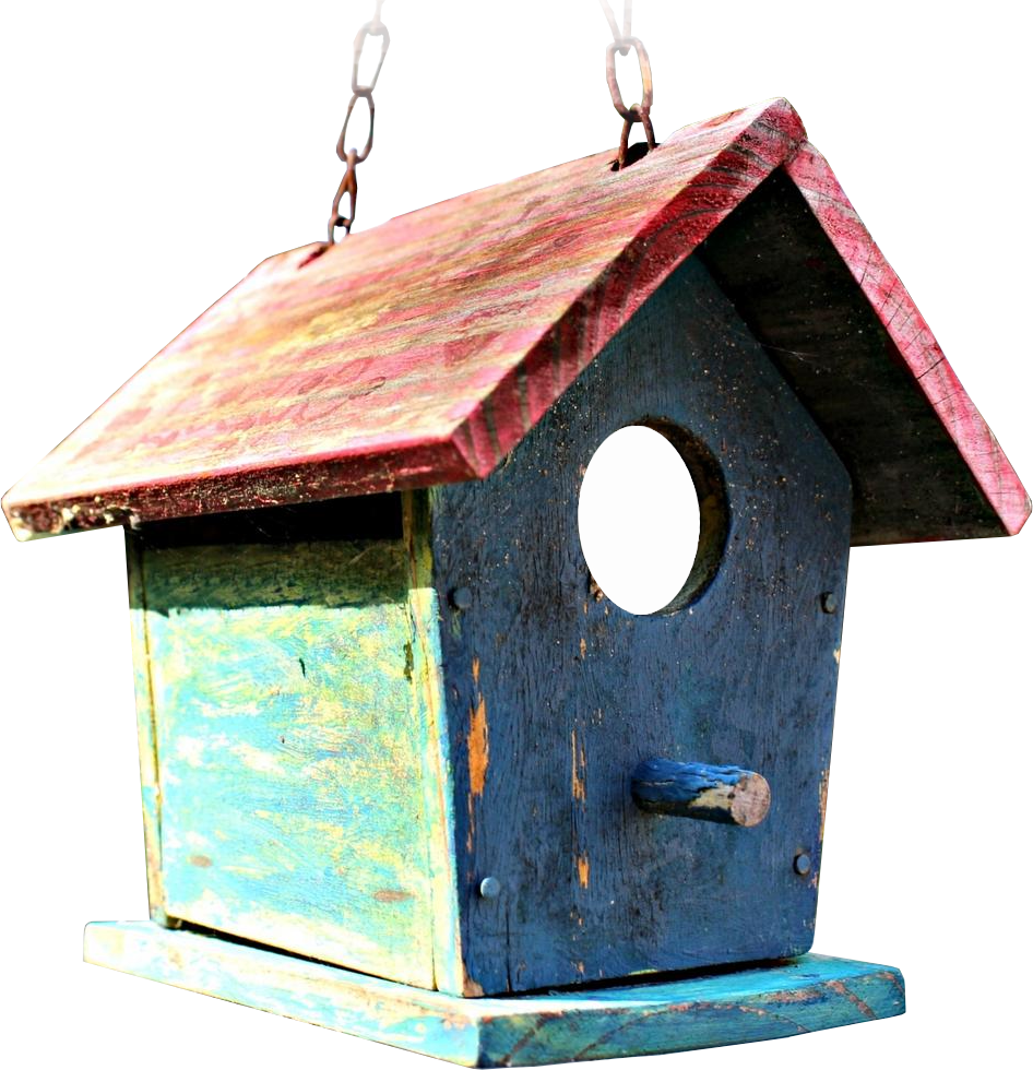 Weathered hanging birdhouse with the Wrendex wren peeking out of the hole
